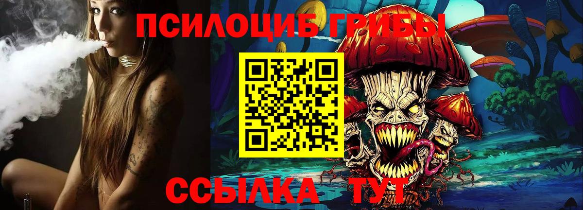Ногинск  Галлюциногенные грибы прущие грибы  Вход с VPN 